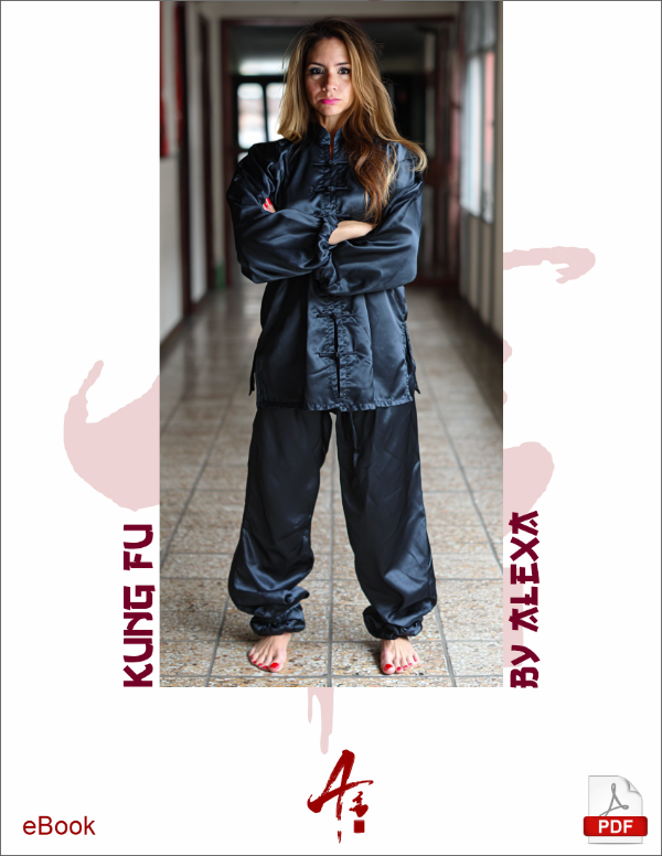 Kung Fu by Alexa
